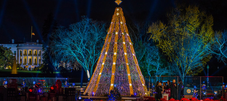 national Christmas tree lighting