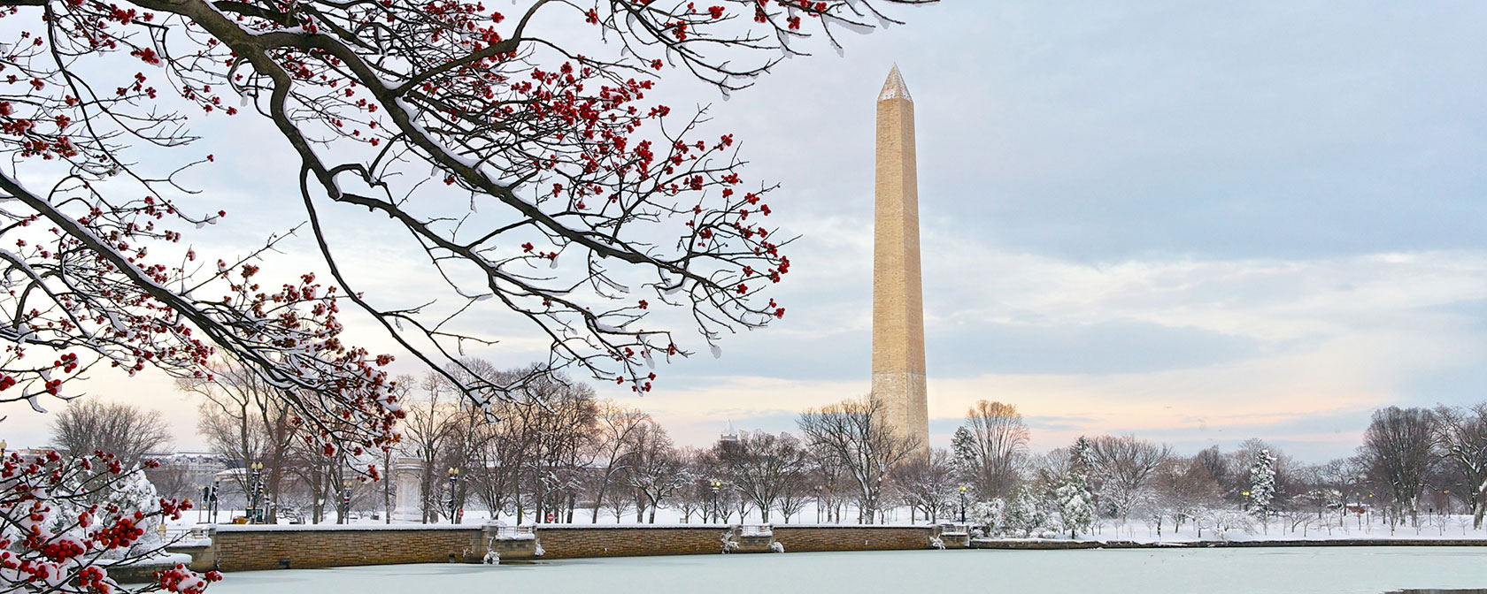 winter day trips from dc