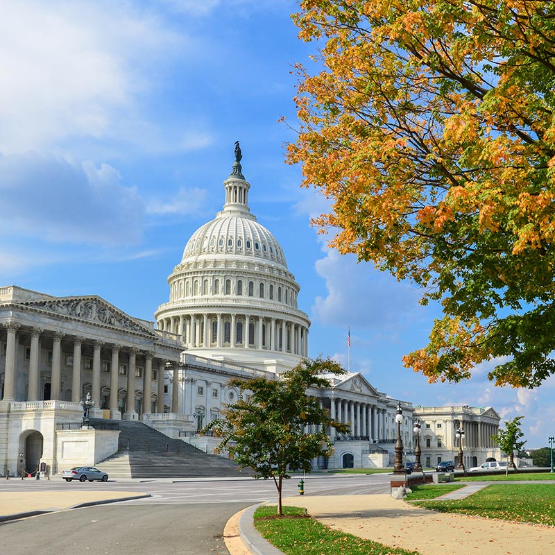 U.S. Capitol Building Washington DC