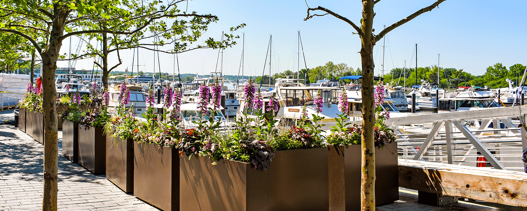 Wharf waterfront in Spring