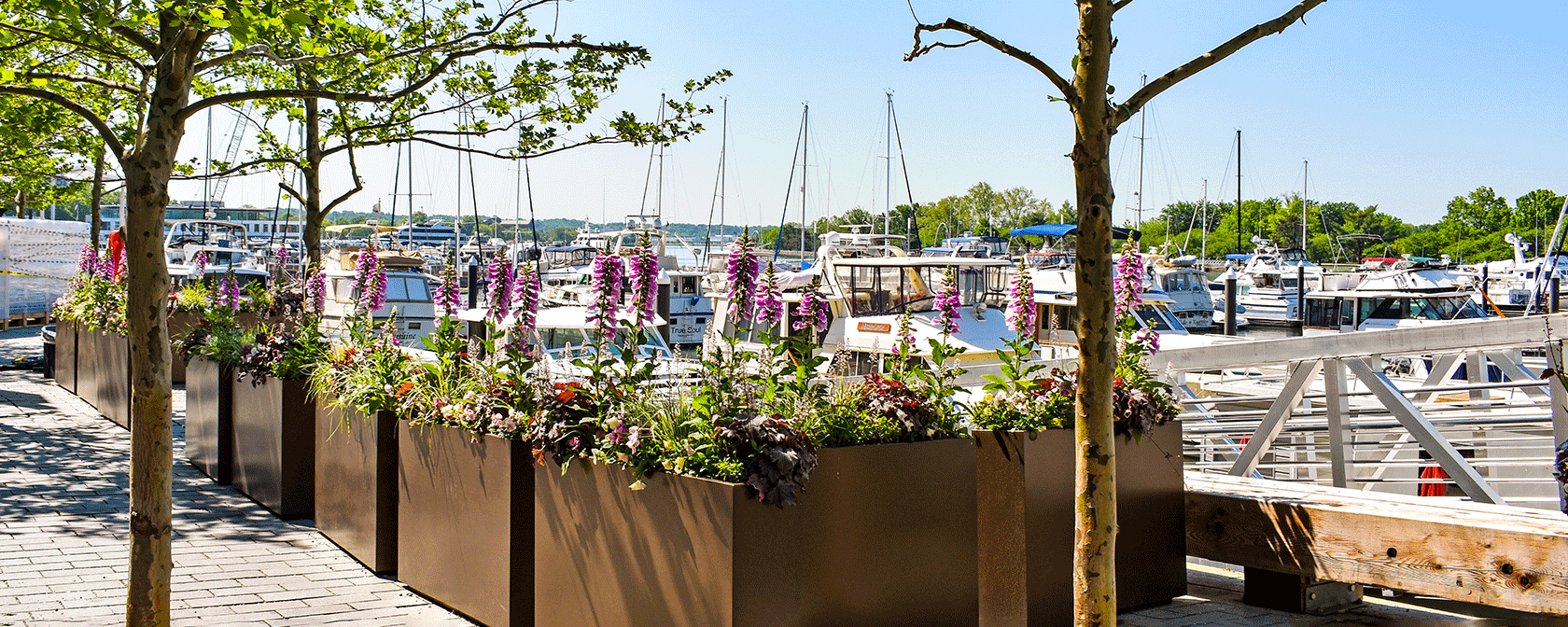 Quai au bord de l'eau au printemps