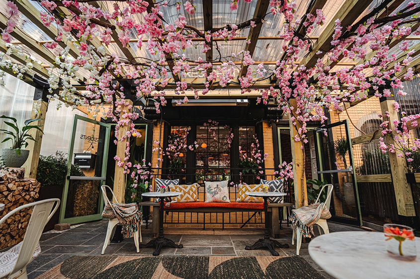 Patio cubierto de flores de cerezo en Residents Cafe & Bar en Washington, DC