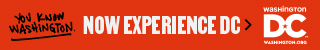 Experience DC banner ad