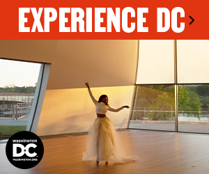 Experience DC banner ads - Cultured DC Fans