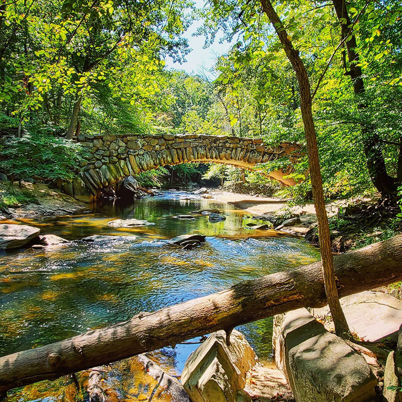 Cena da natureza com riacho e ponte no Rock Creek Park