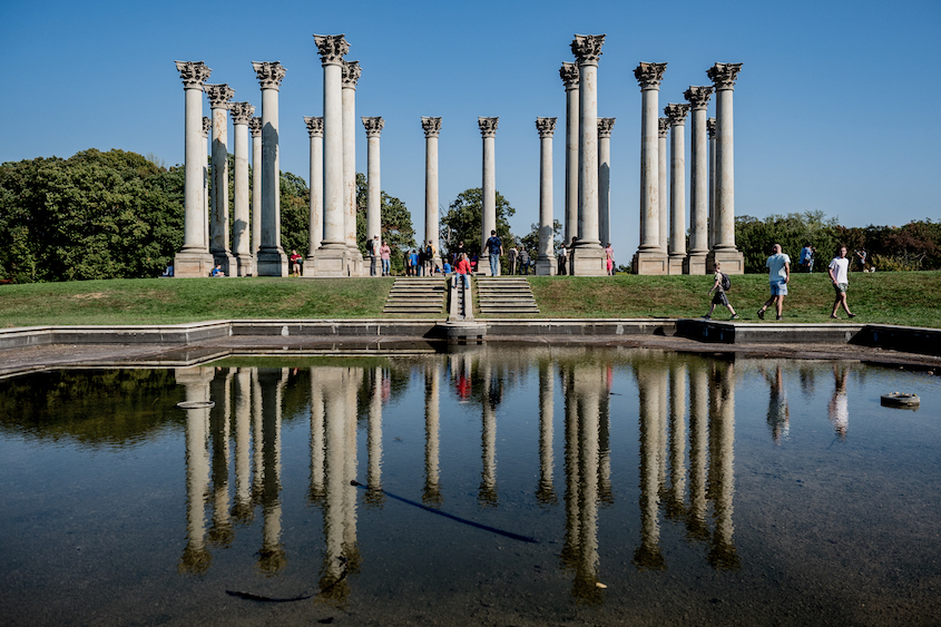 The National Capitol Columns at the U.S. National Arboretum