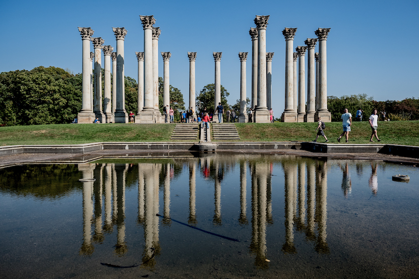 Las columnas del Capitolio Nacional en el Arboreto Nacional de EE. UU.