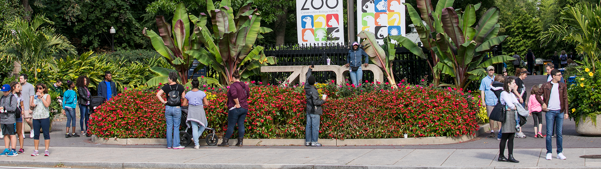 Entrada al zoológico nacional