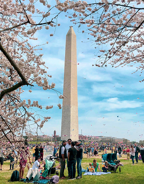 Drachen fliegen während des Blossom Kite Festivals am Washington Monument