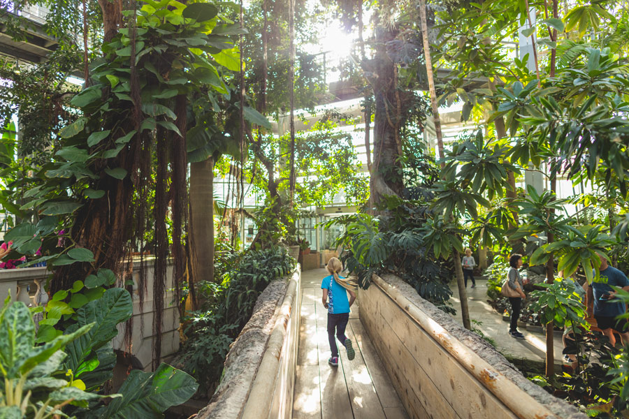Girl running inside U.S. Botanic Garden