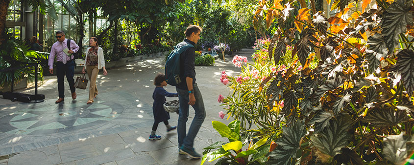 Famille à l'intérieur du jardin botanique américain