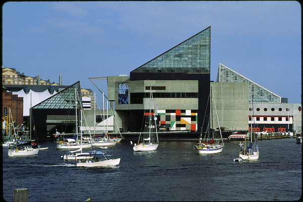 Aquário Nacional em Baltimore - Visite Maryland