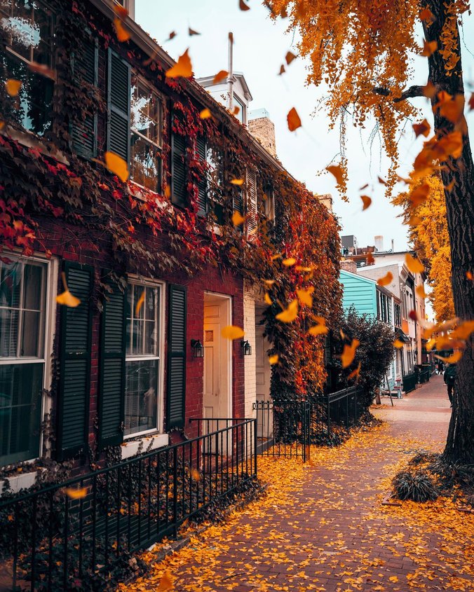 Georgetown à l'automne