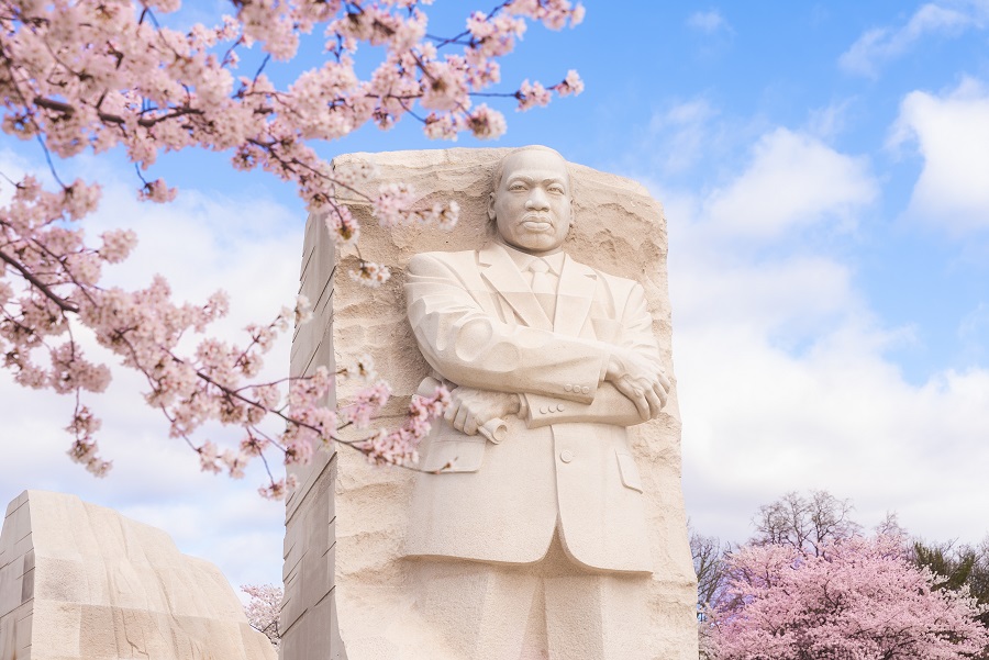 Martin Luther King, Jr. Fleurs de cerisier commémoratives