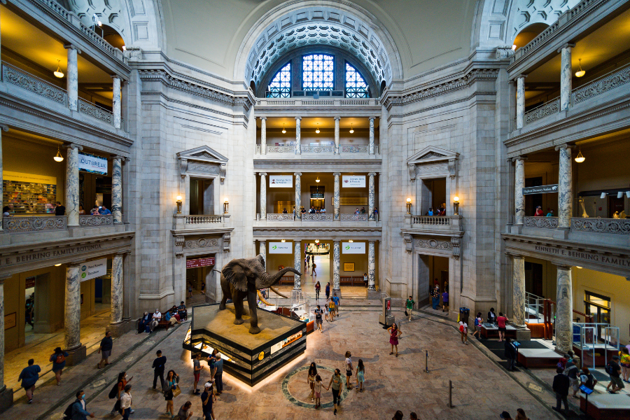 Smithsonian Musée national d'histoire naturelle