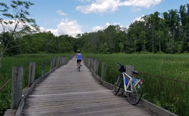 Sentiero di Mount Vernon