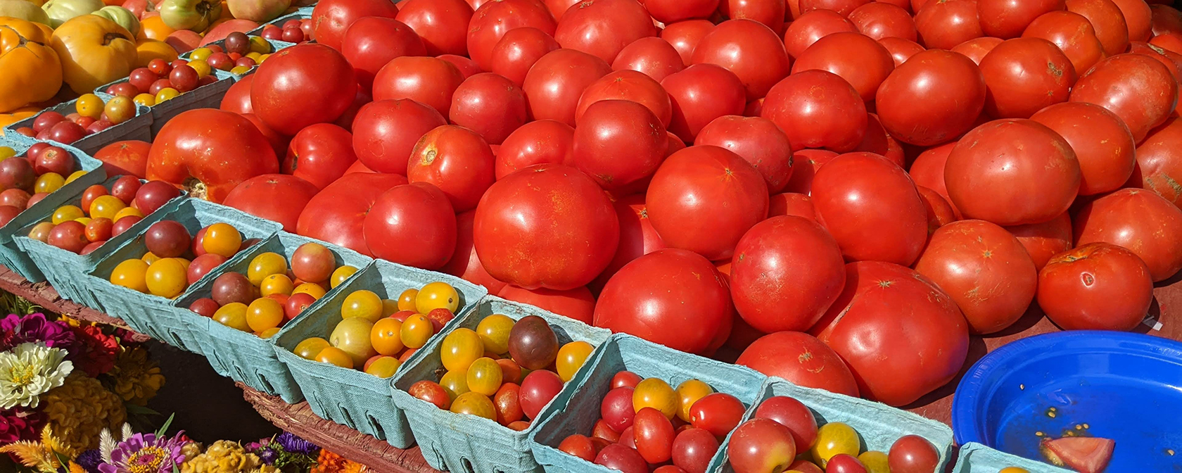 Best Farmers Markets for Fresh Produce in DC