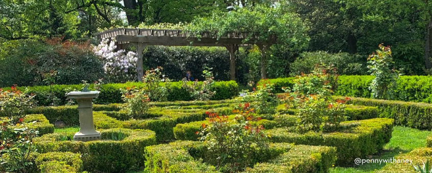 Jardines de la plaza Tudor