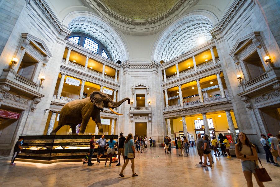 スミソニアン国立自然史博物館