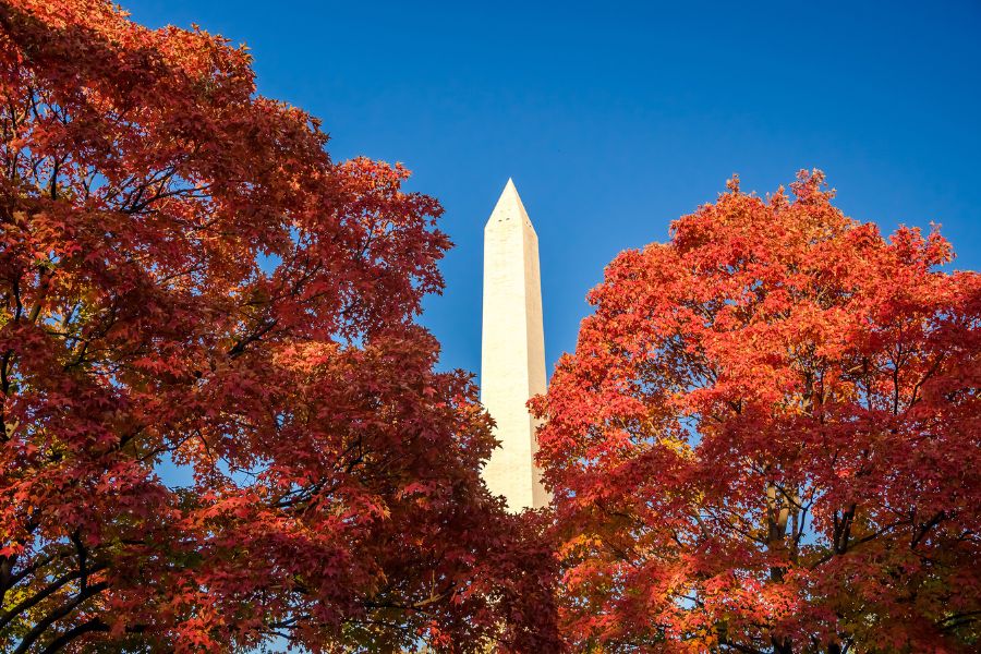 Chute du monument de Washington