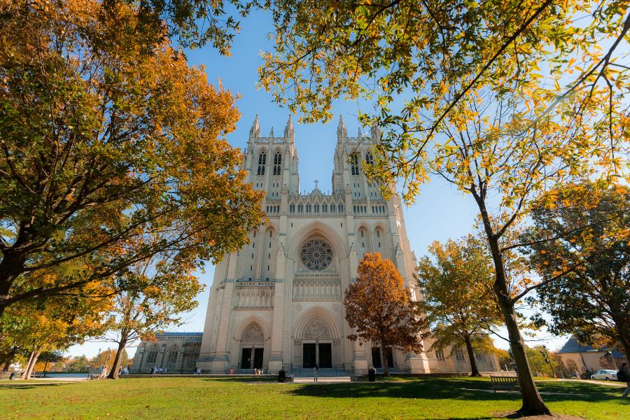 Best Places to Photograph Fall Foliage in DC | Washington DC