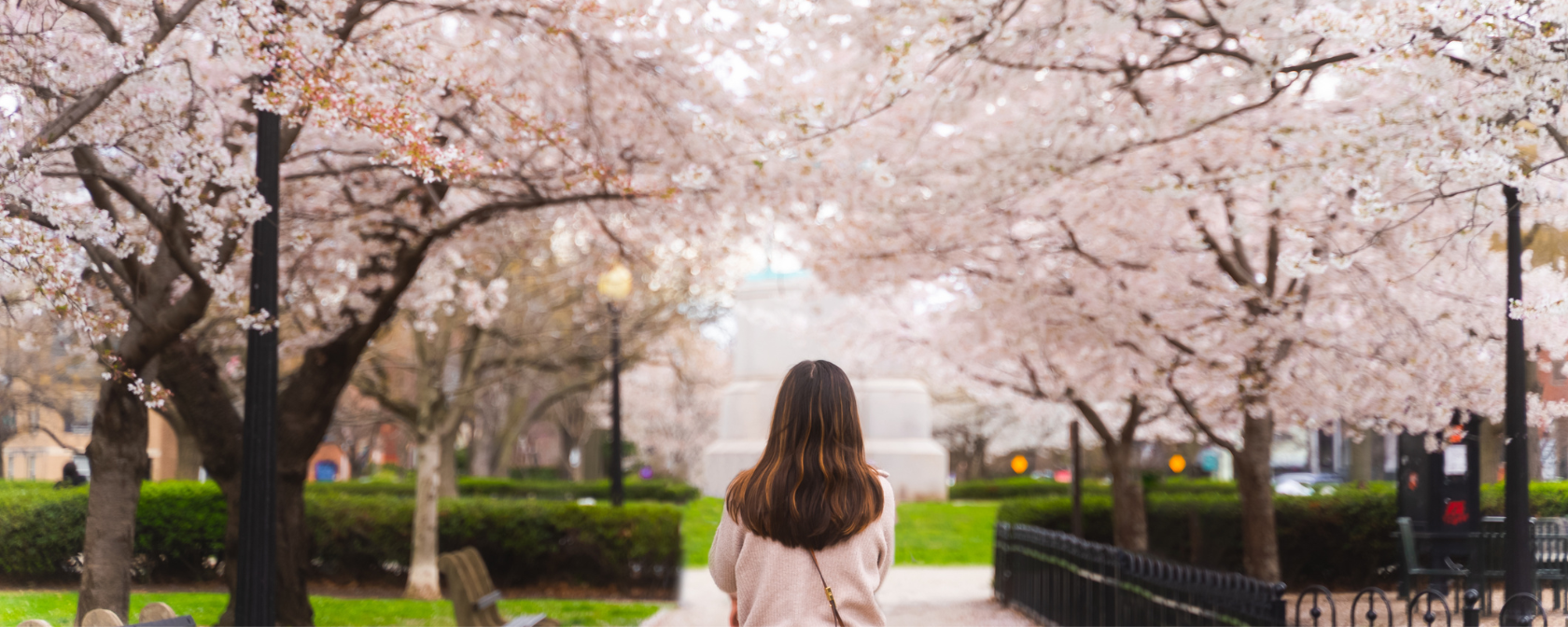 벚꽃 아래를 걷는 여자