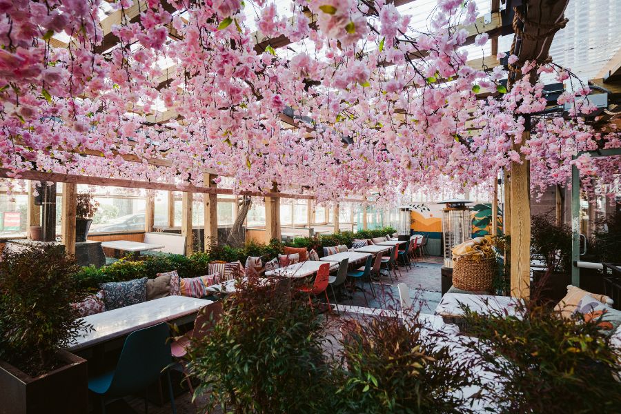 Residenti Cafe Cherry Blossom Decor