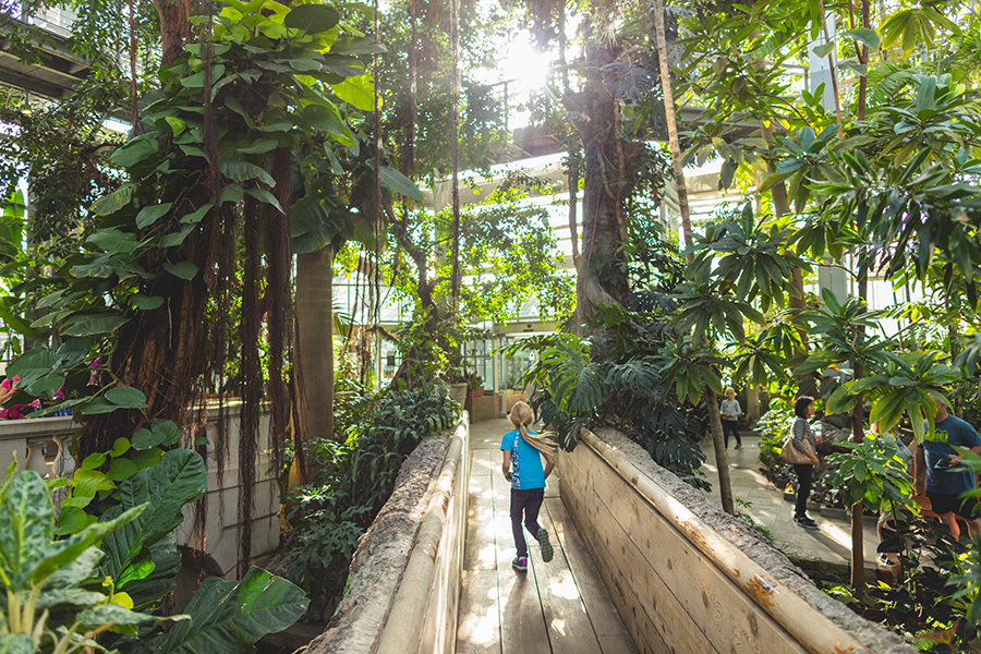 미국 식물원