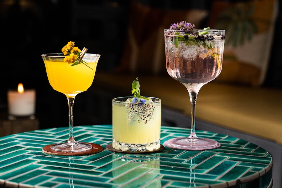 trio of colorful cocktails on a vibrant tile tabletop