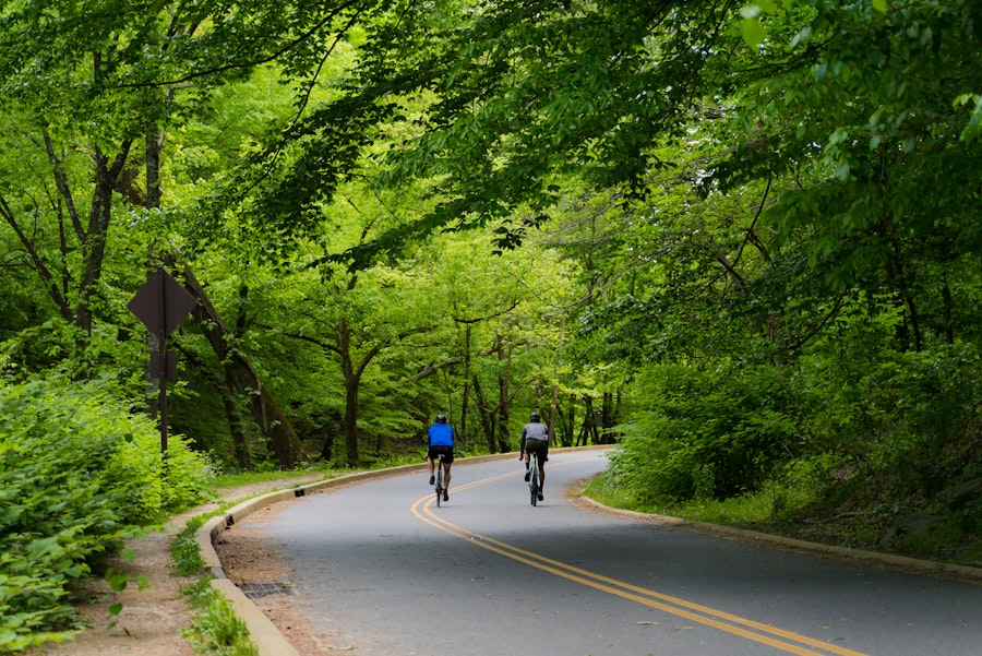 dois motociclistas em uma estrada pavimentada no exuberante e verde Rock Creek Park