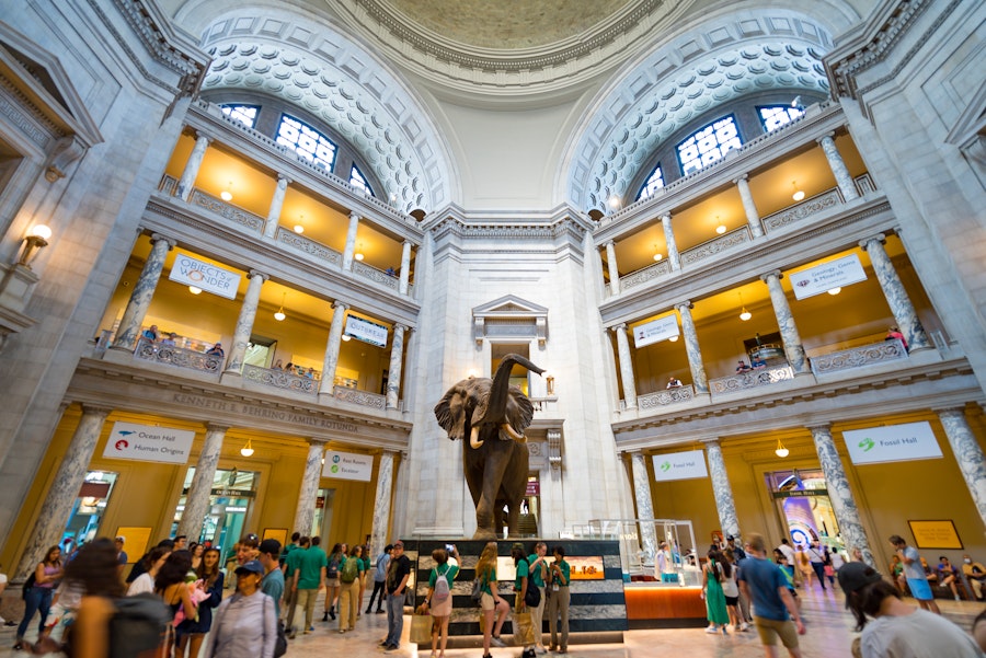 dome in the interior of Museum of Natural History with elephant in the center and people milling below 