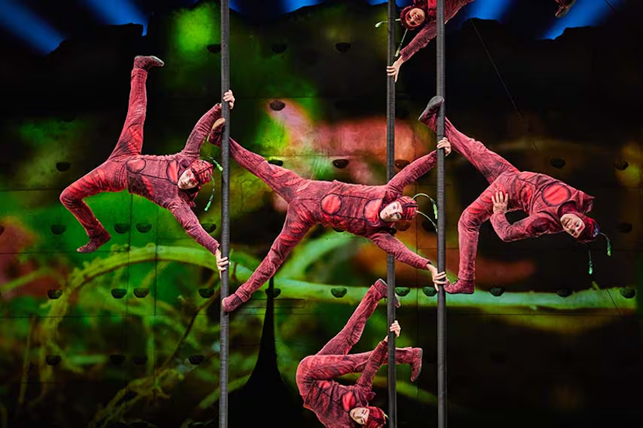 Acrobats perform gravity-defying maneuvers on vertical poles, dressed in textured red costumes resembling muscle tissue, set against a vibrant, green abstract backdrop.