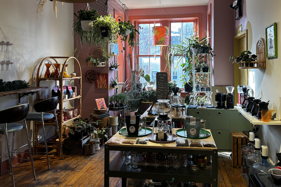 A cozy cafe interior filled with plants, coffee-making equipment and warm natural light streaming through the windows.