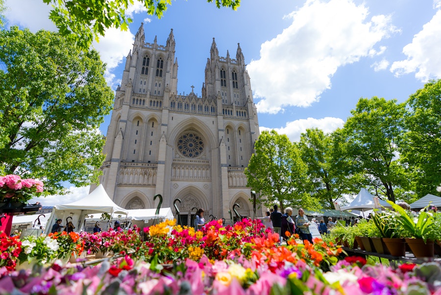 National Cathedral through a garden of flowers