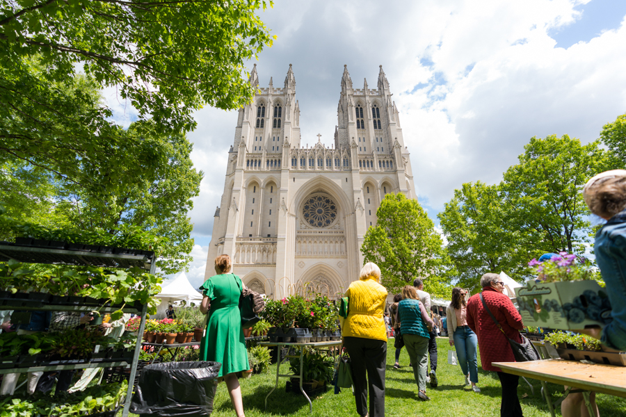 People browse plant stalls at an outdoor market in front of the Gothic-style Washington National Cathedral.