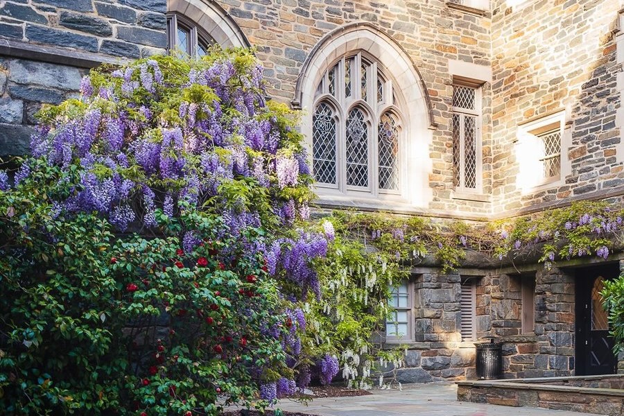 Garden in front of Cathedral.