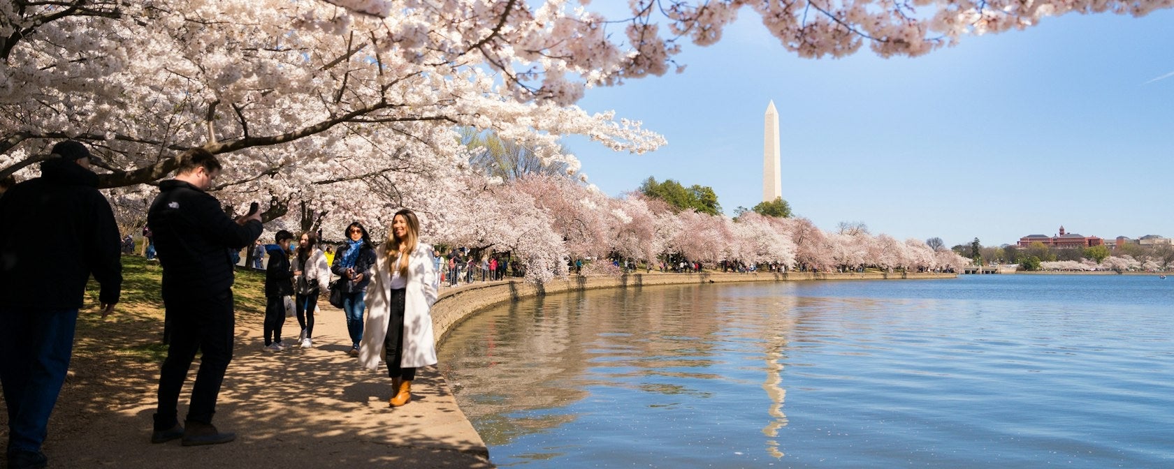 Things to Do This Month in Washington, DC