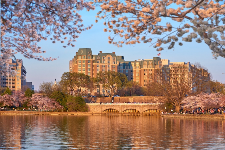 The Salamander DC hotel overlooks the Tidal Basin, framed by cherry blossoms in full bloom.