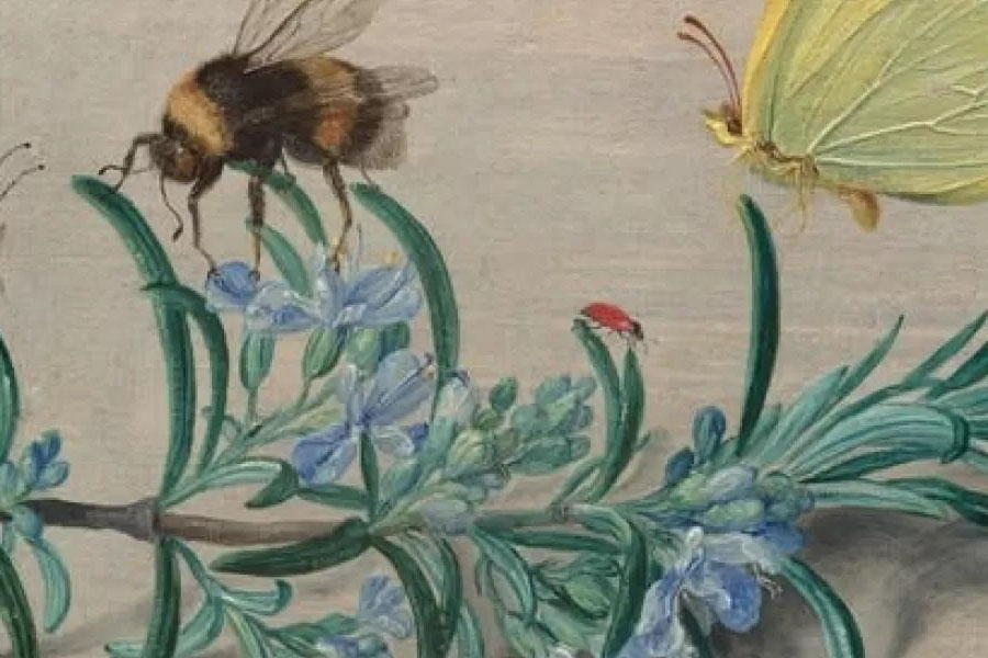Artwork from "Little Beasts: Art, Wonder, and the Natural World"