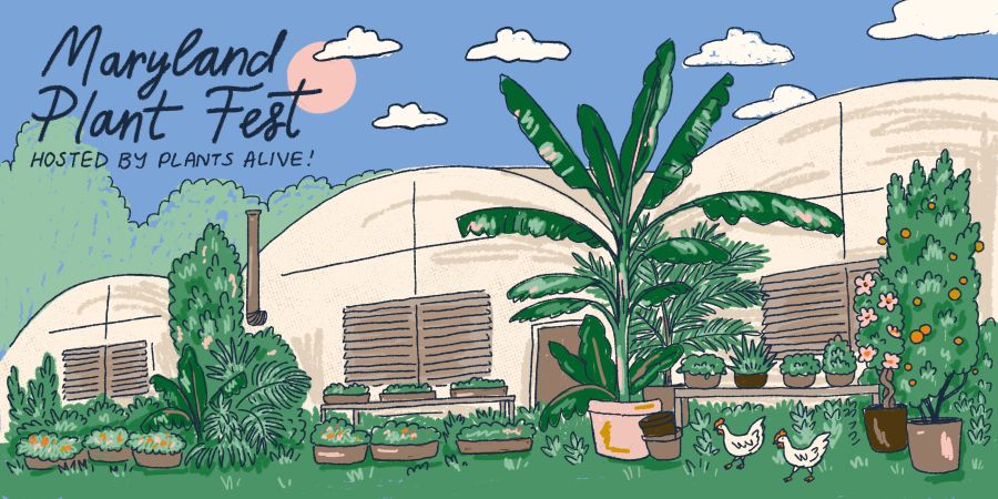 Maryland Plant Festival