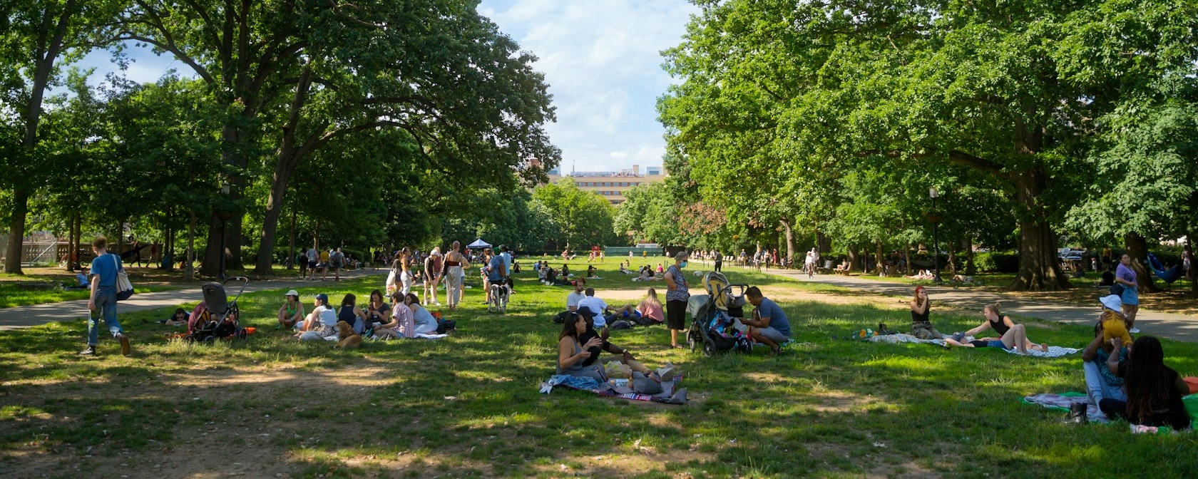 A view of people picnicking in the park in the summertime. 