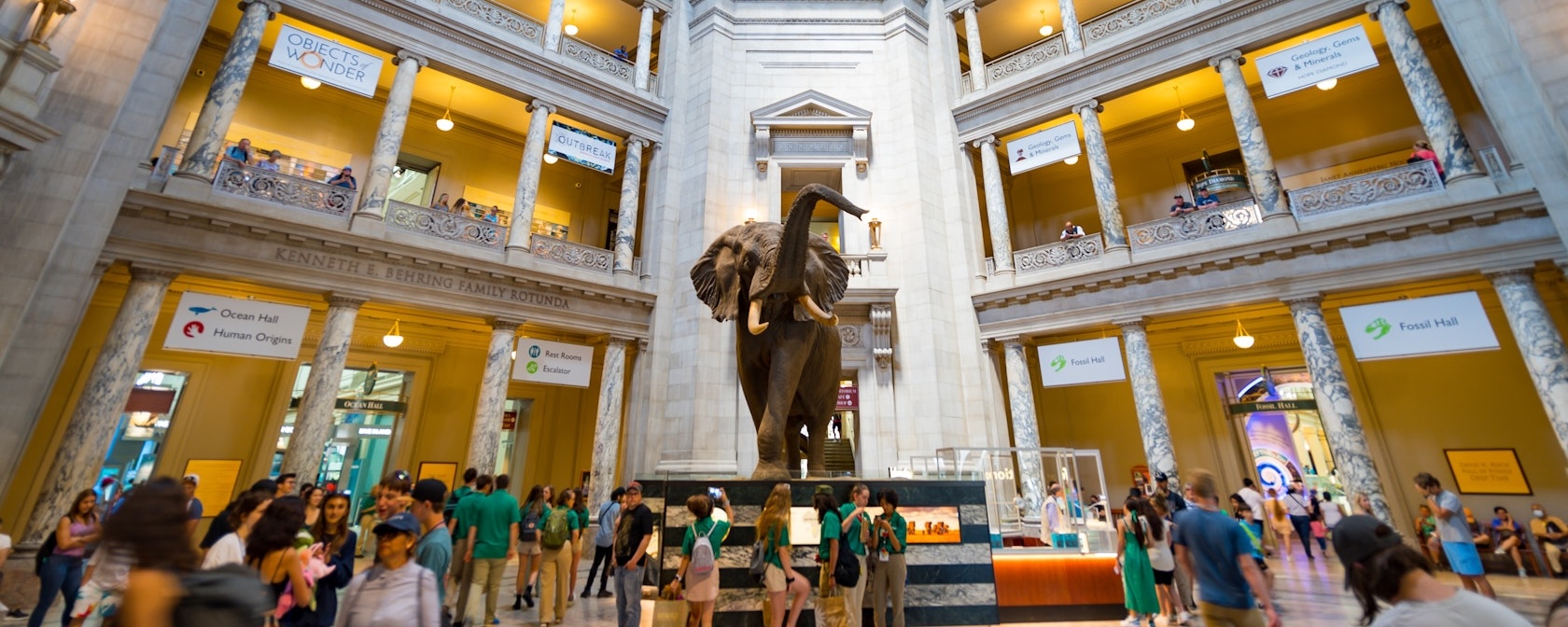 Interior of the Museum of Natural History with the famous taxidermy elephant at the center. 