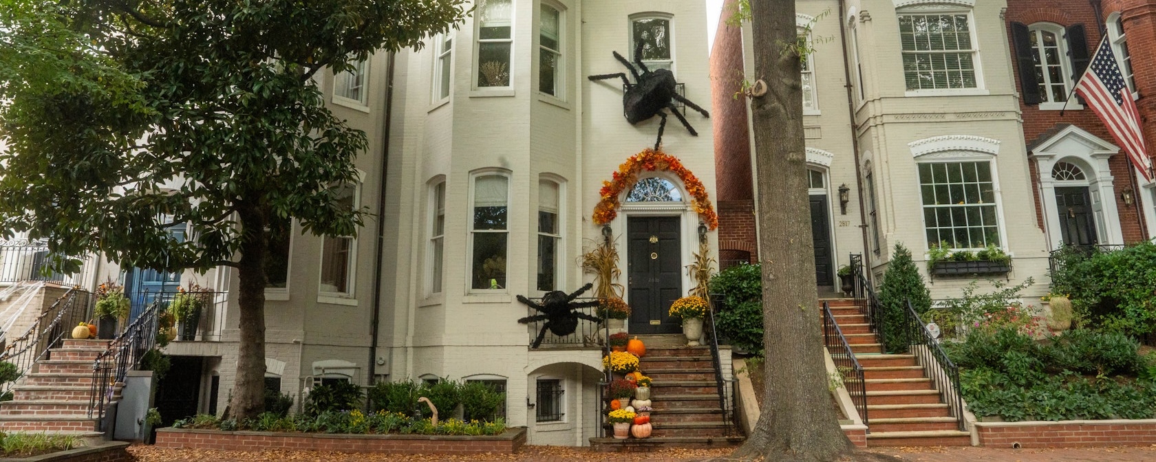 A row of town homes in Georgetown with Halloween decorations, including two large spiders and pumpkins. 