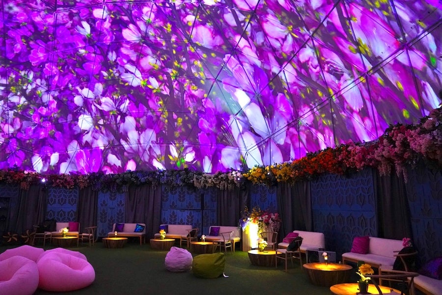 'Peak Bloom: Dome Experience' by ARTECHOUSE at Hi-Lawn