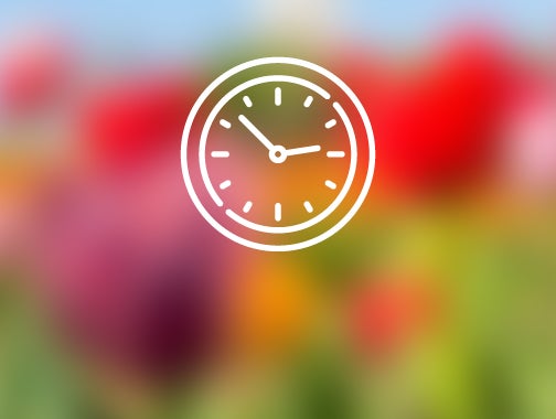 A simple clock icon represents timed entry information.