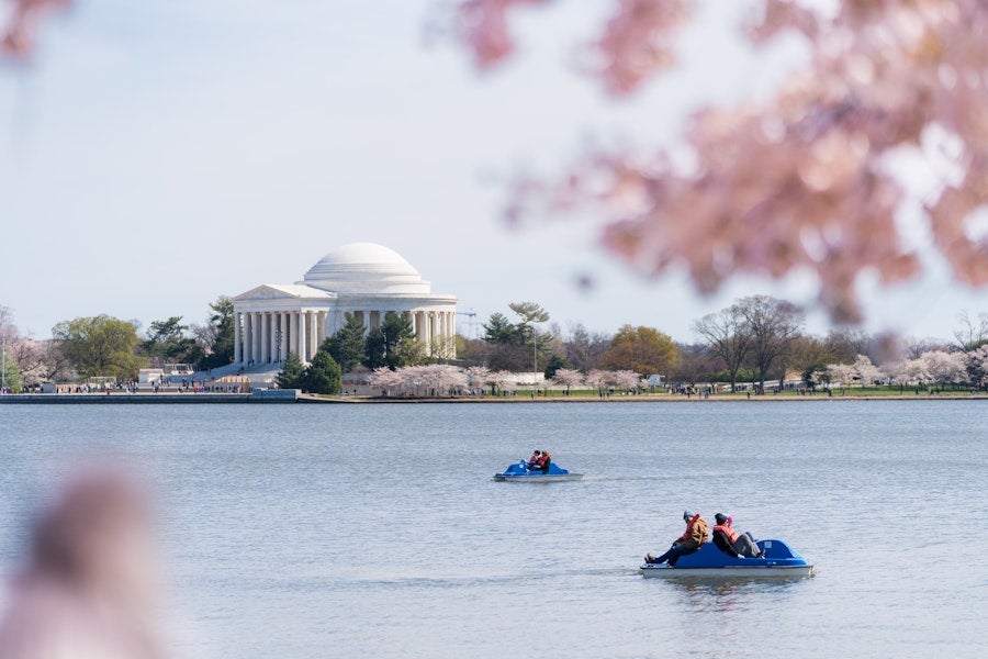 A view of the Jefferson Memorial from across the Tidal Basin, with blooming cherry blossom trees in the foreground and paddle boats in the water.