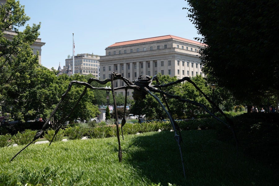Large spider sculpture stands on grass in a sculpture garden with buildings in the background.