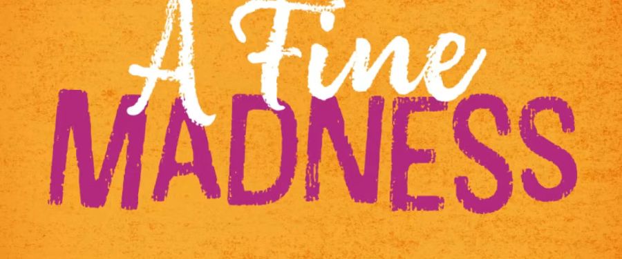 'A Fine Madness' at Woolly Mammoth Theatre
