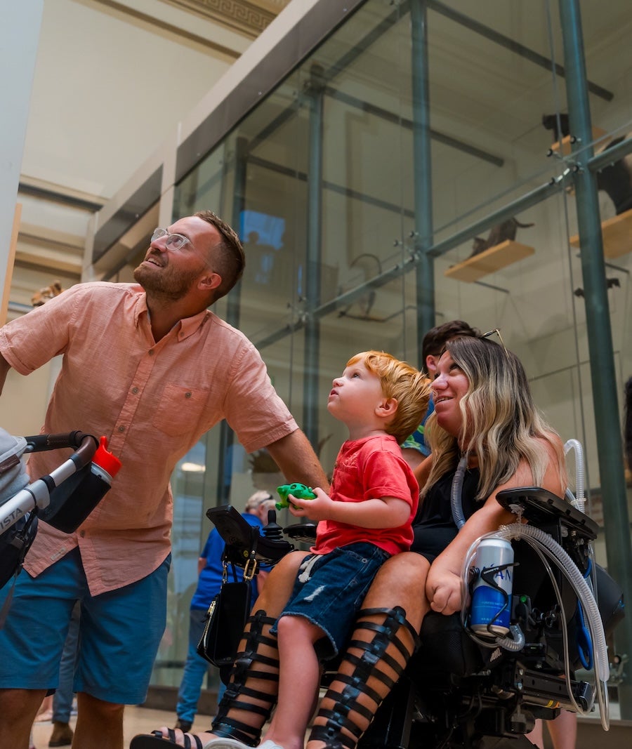 A family looks up at a soaring exhibit in a museum
