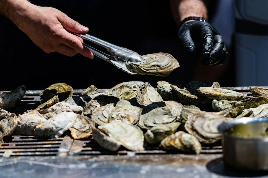 Gloved hands using tongs to prepare oysters on a metal tray